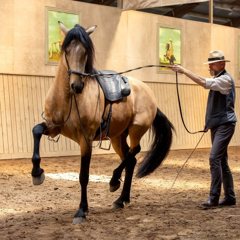 Co je Academic Art of Riding a kdo je Bent Branderup